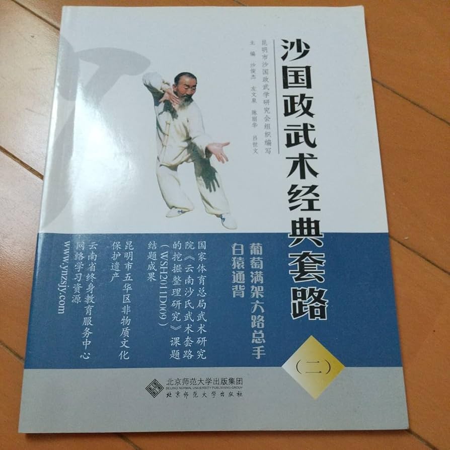 白猿通背拳 中国武術